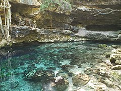 Cenote en Xbatun.jpg