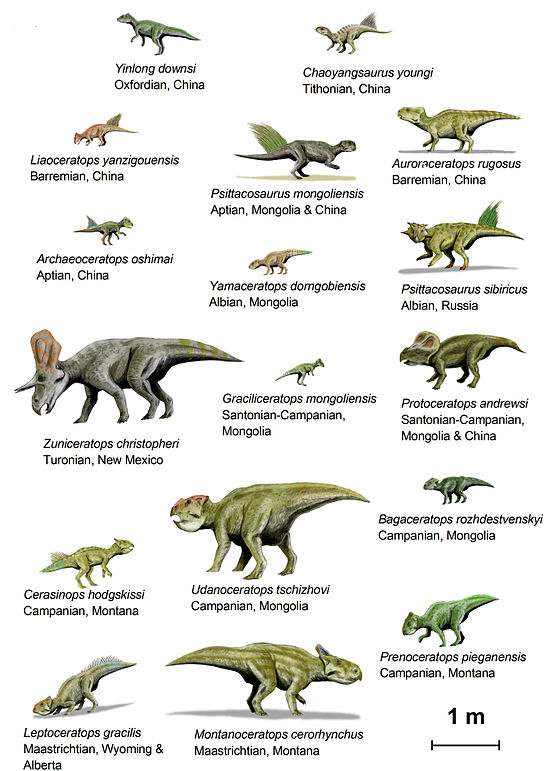 Нептичьи динозавры виды. Динозавры из семейства цератопсы. Динозавры цератопсы с названием. Динозавры Юрского периода картинки с названиями. Динозавры Юрского периода названия.