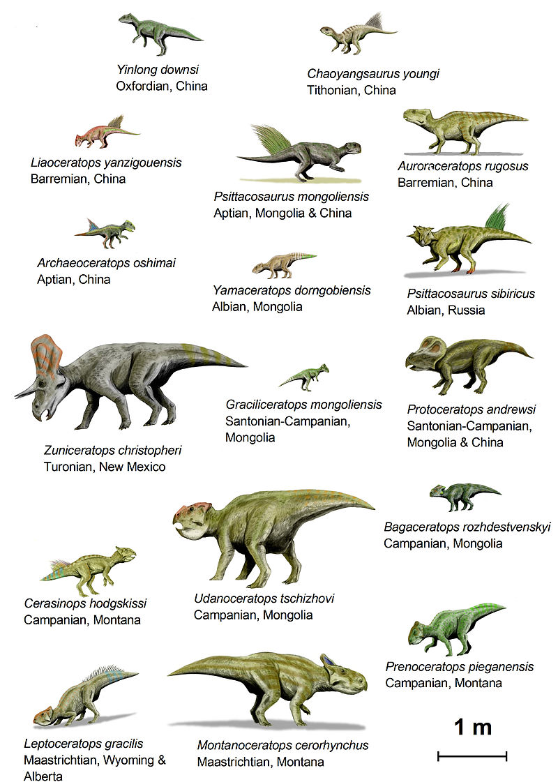 Динозавры виды и названия с фото и описанием