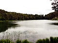 View of the lake from north