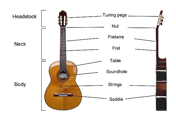 Basic anatomy of a classical guitar