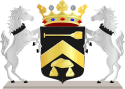 Coat of arms of the Borger-Odoorn community