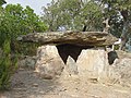 wikimedia_commons=File:Coll de Medàs 2012 07 13 09.jpg