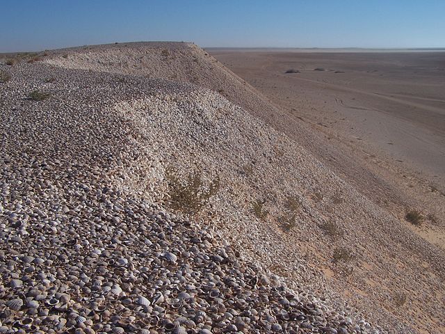 Shell midden several kilometers long and tens of meters high proving an intense prehistoric use of the area