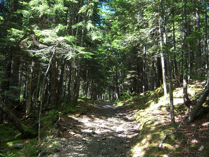 File:Coppermine Trail, Fundy National Park,.jpg