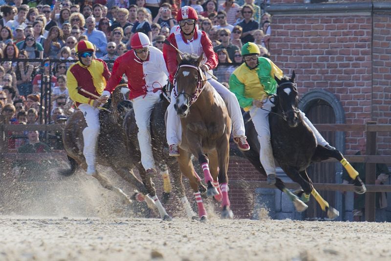 File:Corsa ippica - Palio di Legnano 2014.JPG