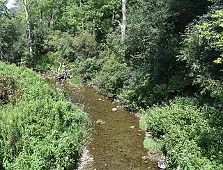 <span class="mw-page-title-main">Cripple Creek (New York)</span> River in New York, United States