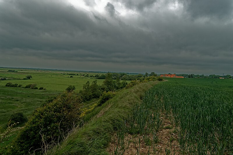 File:D463 between Hautebut & Onival - View NNE.jpg