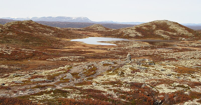 File:Dagalifjell Fyritjönne IMG 1416.JPG