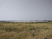 מאגר דליות ממרחק, אפריל 2017