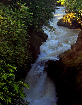 <span class="mw-page-title-main">Davis Falls</span> Waterfall in Nepal