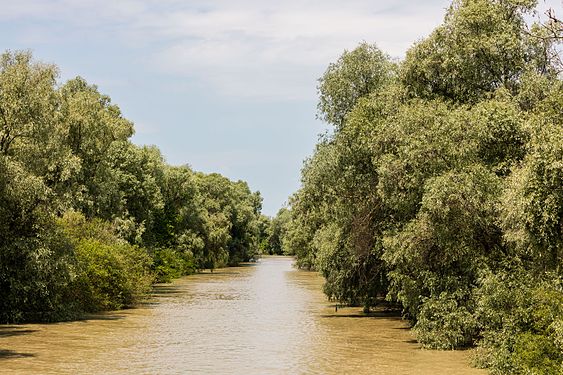 Danube Delta