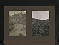Description- View in 1930 of a lomg series of terraces, made in 1922 and 1923 in Machera Forest on the Western side of the Yiallias Valley, Middle Elevation about 4,000 feet. (8507306646).jpg