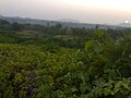 English: The setting sun over the rolling hills of Devgadh Baria.