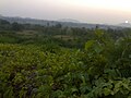 English: The setting Sun over the rolling hills of Devgadh Baria.