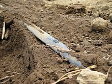 Drip irrigation - Wikipedia