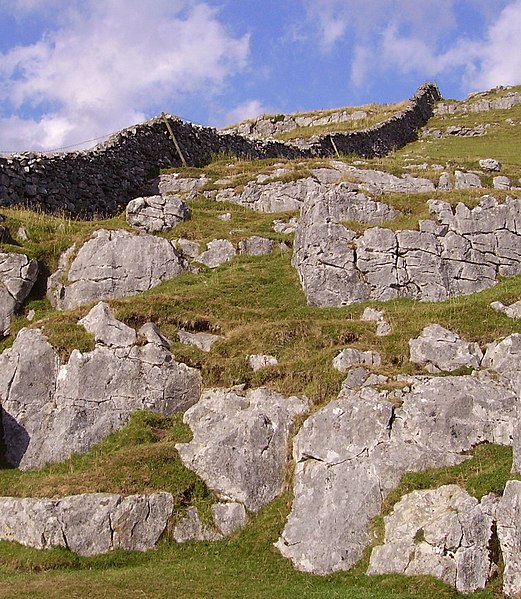 File:Dry stone wall near Ingleton 01.JPG