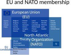 EU and NATO membership.svg