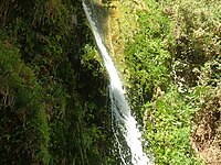 Ein Gedi (=Engedi) nature reserve, Judaean Desert, Israel. (2009) Ein Gedi 11.jpg