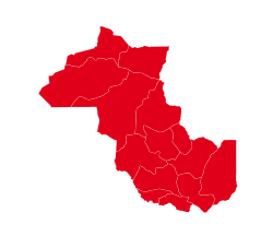 Elecciones provinciales de Jujuy de 1929