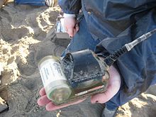 A CDT tag taken off an elephant seal at Ano Nuevo State Reserve Elephant seal tag.jpg