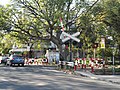 Level crossing on Laprida Avenue.