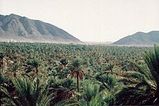 Western foothills of the Ksour Range near Figuig