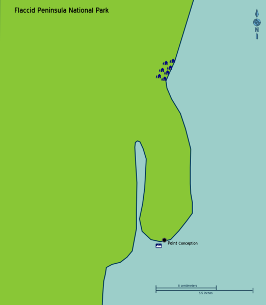 File:Flaccid peninsula.png