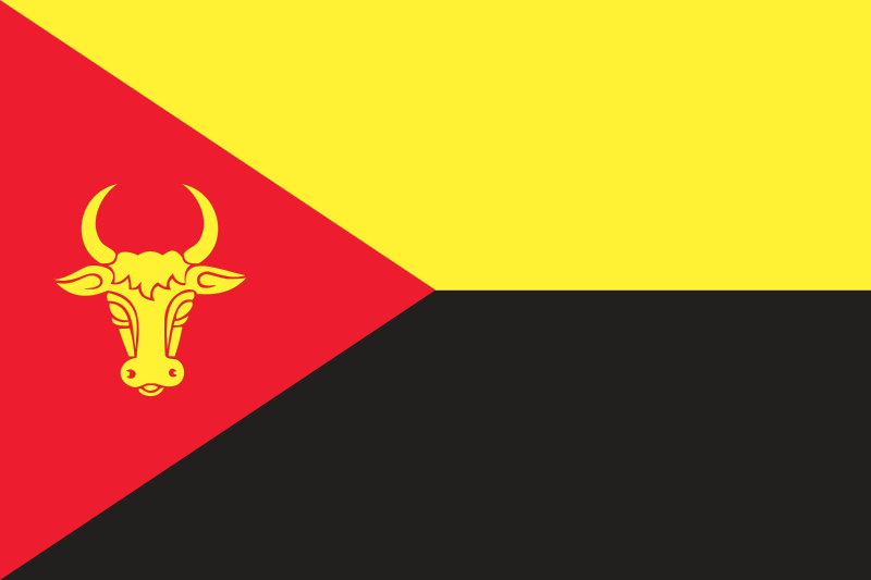 File:Flag of Anenii Noi.svg