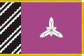 Прапор Борщівського району