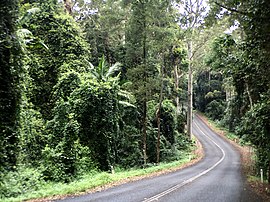 Following mountains ridge Mount Glorious Road through D'Aguilar National Park, Queensland 02.jpeg