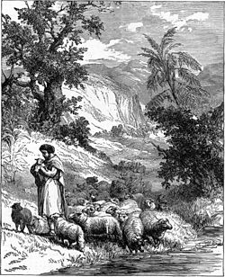 A Shepherd (illustration from the 1897 Bible Pictures and What They Teach Us by Charles Foster) Foster Bible Pictures 0045-1 A Shepherd.jpg