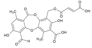 Structural formula of fumarprotocetraric acid