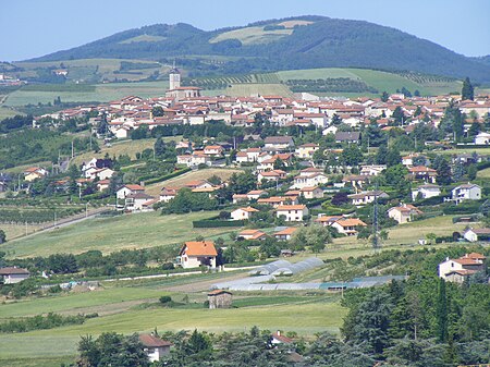 Genilac vue générale