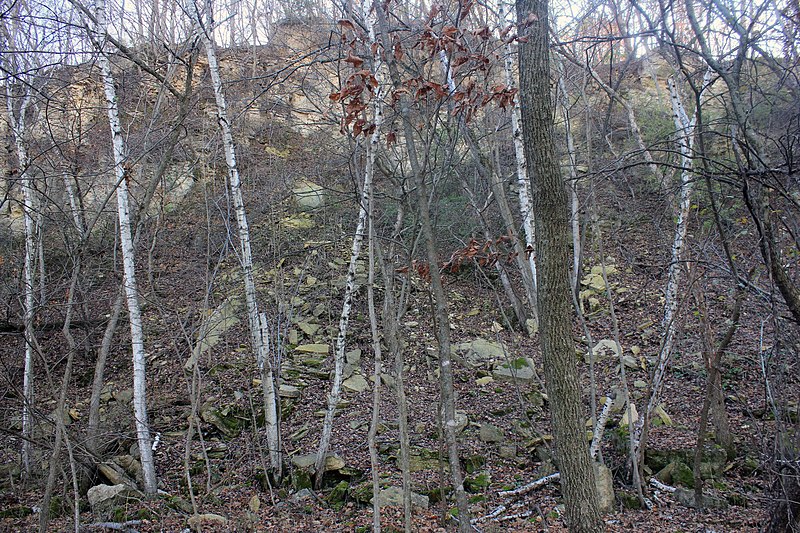 File:Gfp-iowa-bellevue-state-park-limestone-quarry.jpg