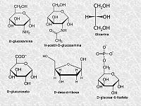 Derivados de los monosacáridos