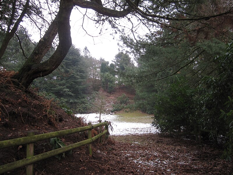 File:Gorse Covert, Whirley Lane, Henbury Macclesfield - geograph.org.uk - 2798595.jpg