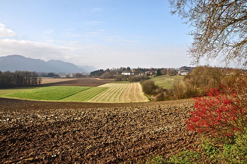 File:Grafenstein Althofen Fluren und Felder 12112011 254.jpg