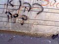 Graffiti in Herzliya2.jpg