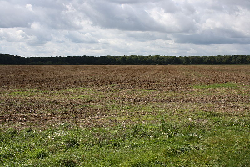 File:Grand-Ambésis Le Mesnil-Saint-Denis 2011 03.jpg