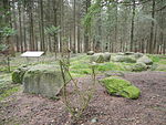 Großsteingrab Giersfeld Reincke