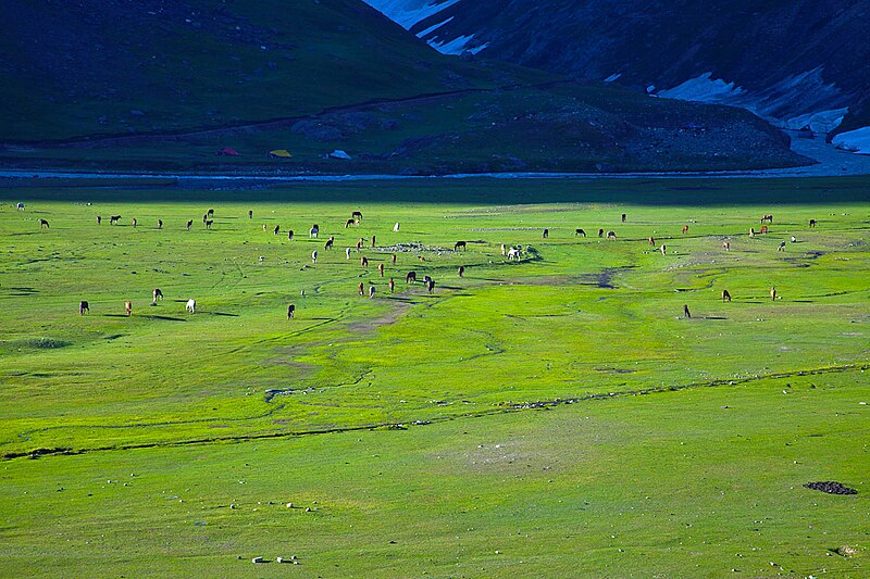 File:Gumri near Zozila Pass.jpg