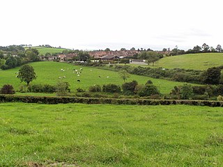 <span class="mw-page-title-main">Hamiltonsbawn</span> Village in County Armagh, Northern Ireland