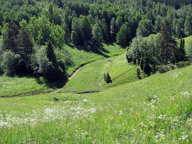 File:Hantala ravine in Somero.jpg