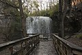 * Nomination Boardwalk to Hayden Falls -- Sixflashphoto 02:09, 13 November 2017 (UTC) * Promotion Good quality. -- Johann Jaritz 02:59, 13 November 2017 (UTC)