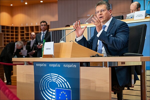 Šefčovič testifies before the European Parliament in 2019