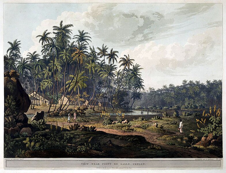 File:Henry Salt - View near Point de Galle, Ceylon 08.jpg