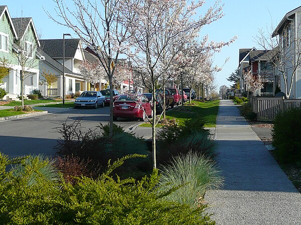 Houses are built close to the street. Bioretention swales or rain gardens treat and control stormwater from the streets with plants.