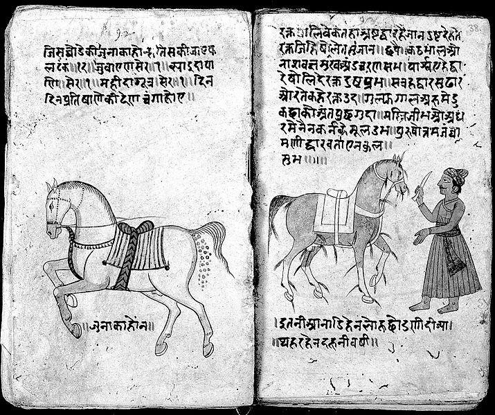 File:Hindi Manuscript 191, fols. 37 verso 38 rect Wellcome L0024230.jpg