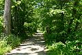 The Patowmack Canal's House Falls canal here was reused for the C & O.